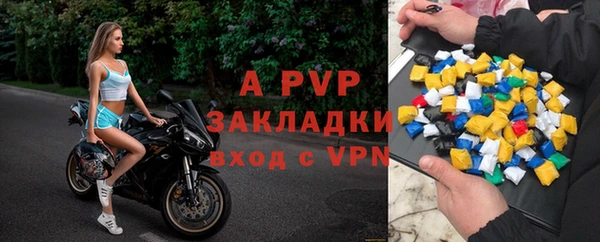 ПСИЛОЦИБИНОВЫЕ ГРИБЫ Валдай