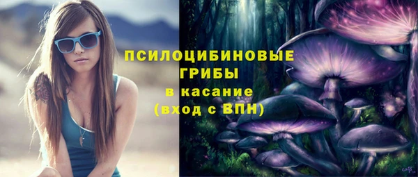 амф Рославль